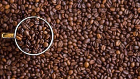 Arabica Kahve Çekirdeği Nedir?